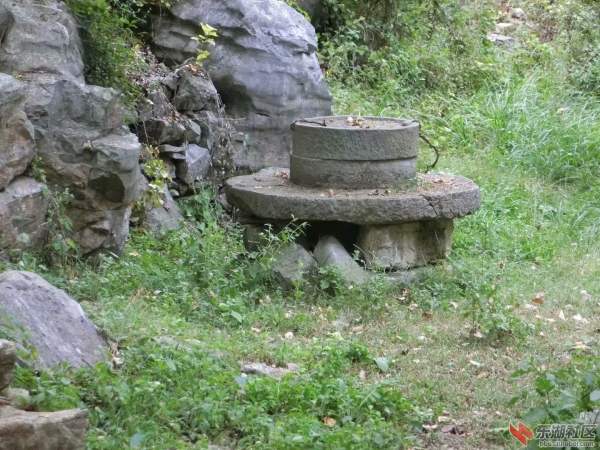 CIMG5826.jpg