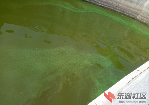 TIM截图20181009144223.png