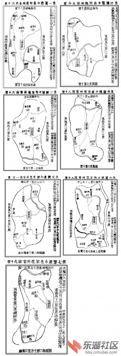 羔.jpg
