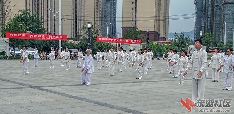 7   DSC00498_副本.jpg