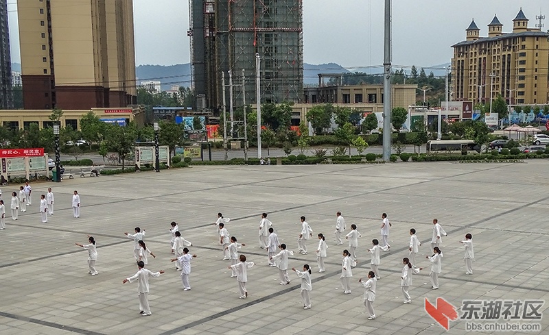 8   DSC00511_副本_副本.jpg