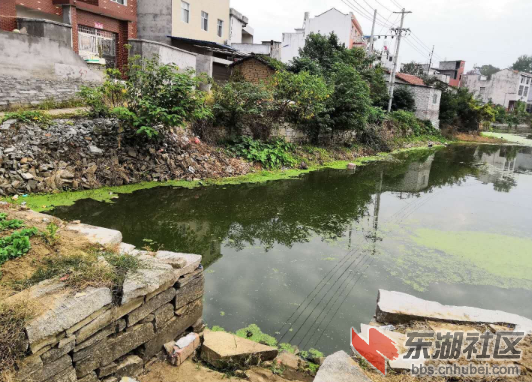 TIM截图20181011103642.png