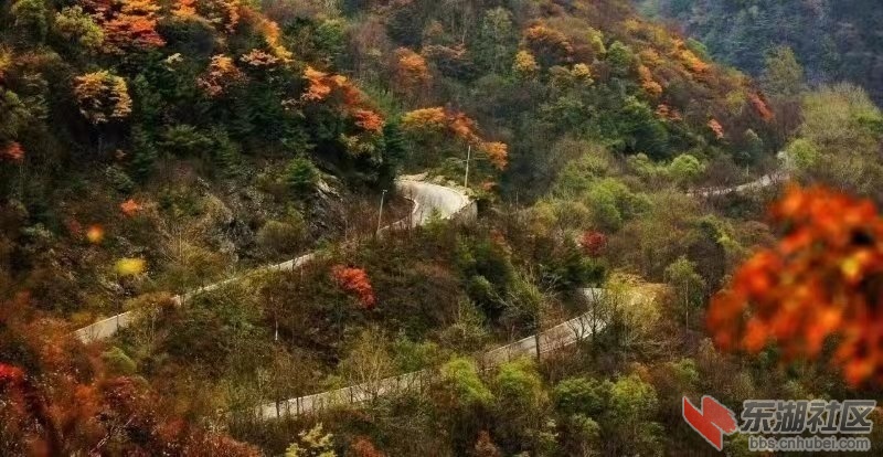 微信图片_20181015101204.jpg