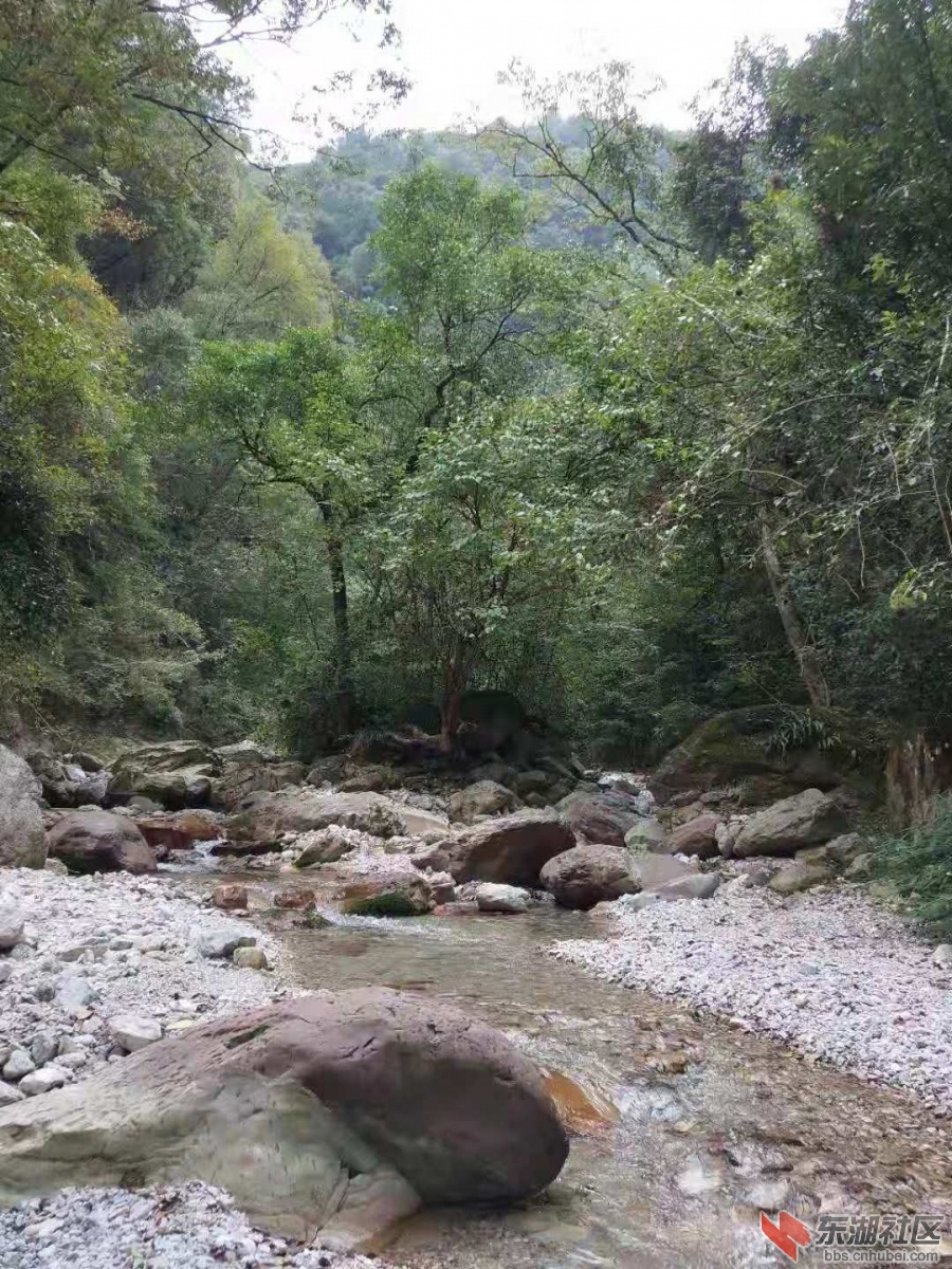 微信图片_20181015115247.jpg