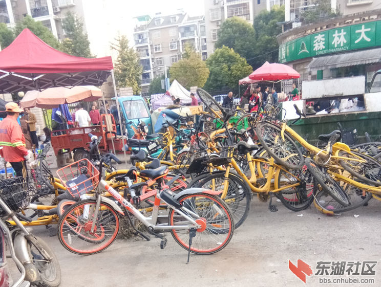 TIM截图20181017091925.png