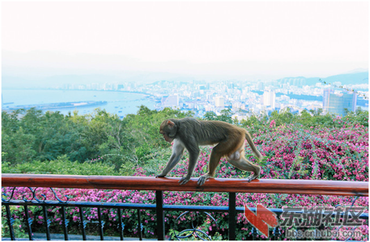 image007.png