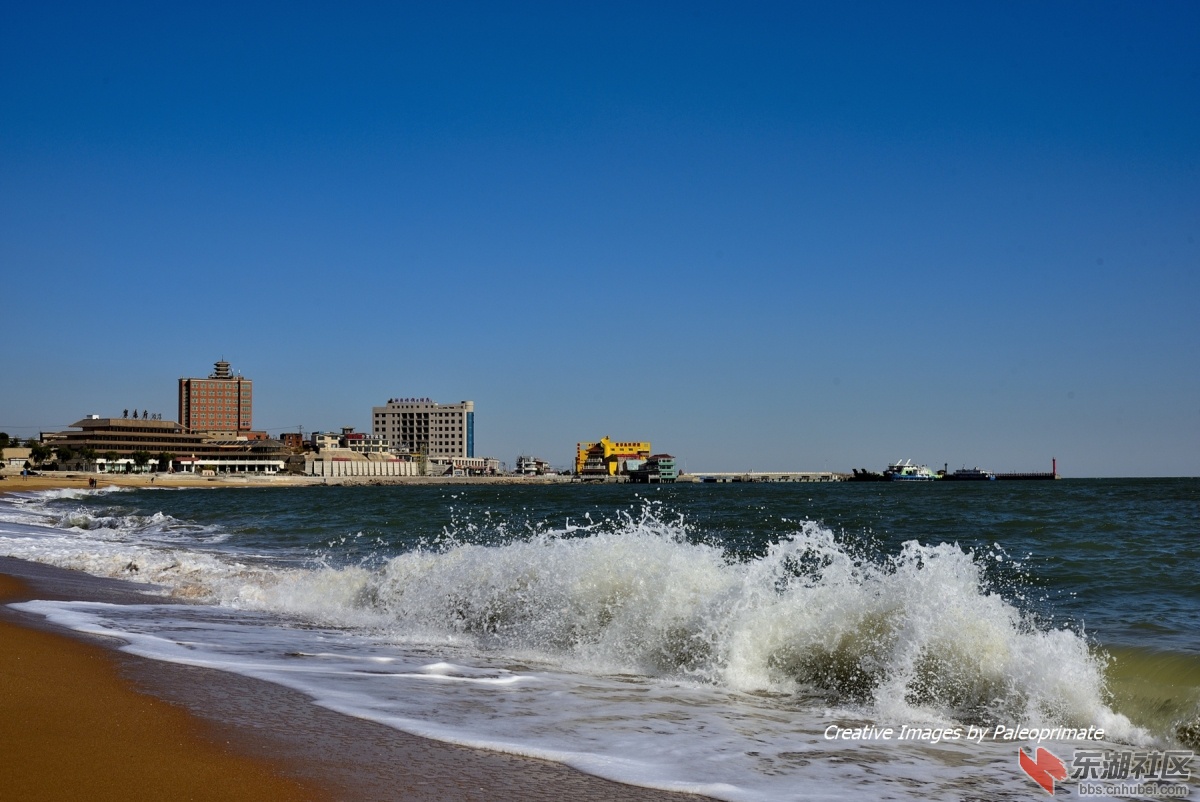 _DSC8436.jpg