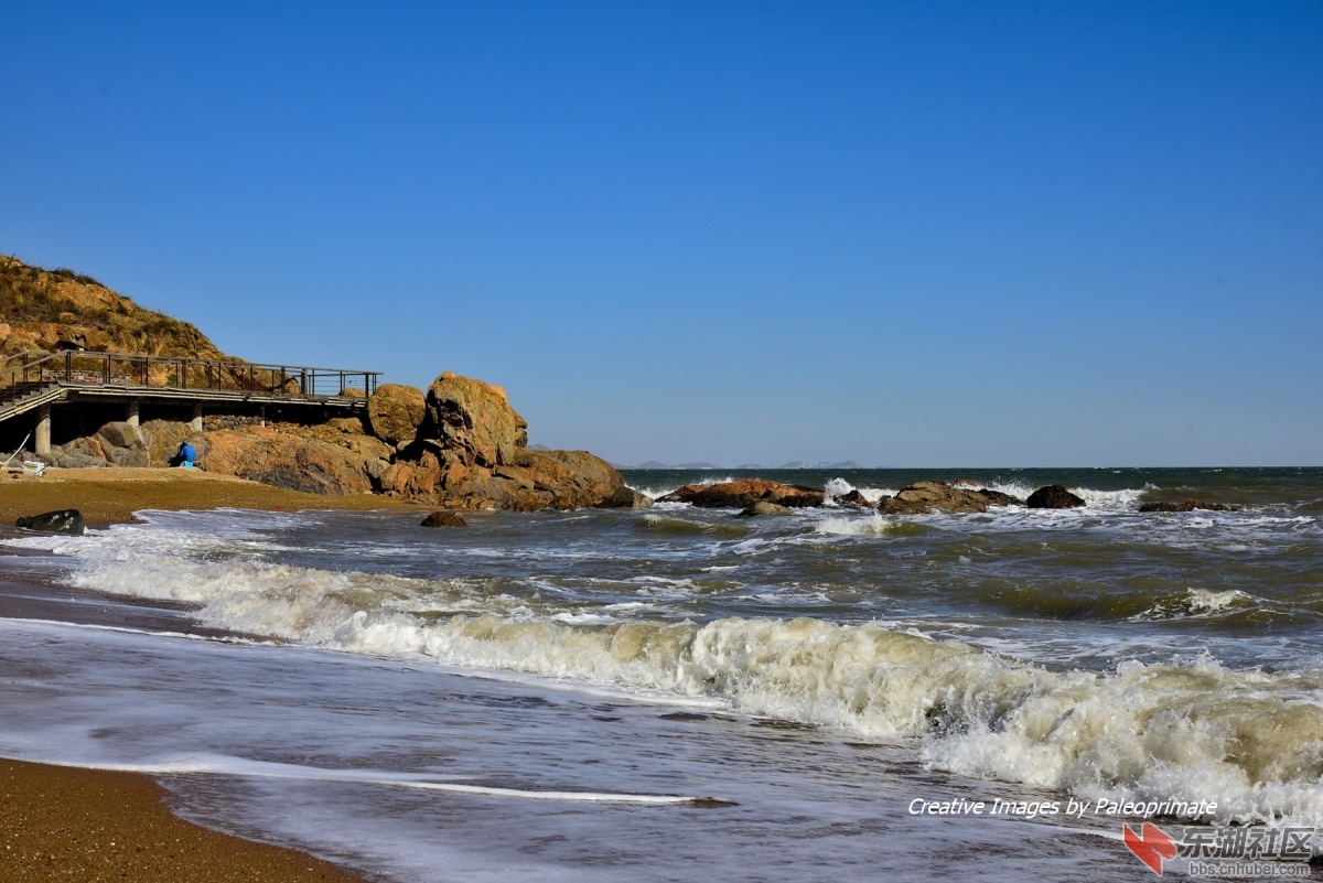 _DSC8456.jpg