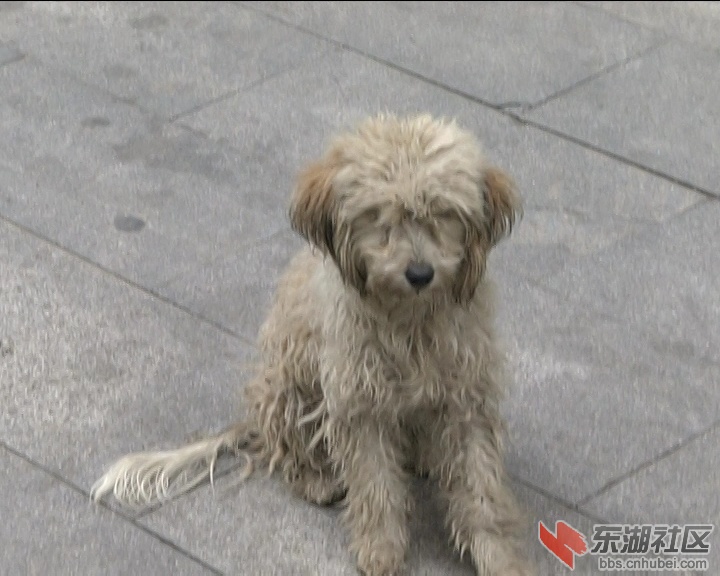 10.18尹家湖试拍[(021671)2018-10-24-09-09-00].JPG