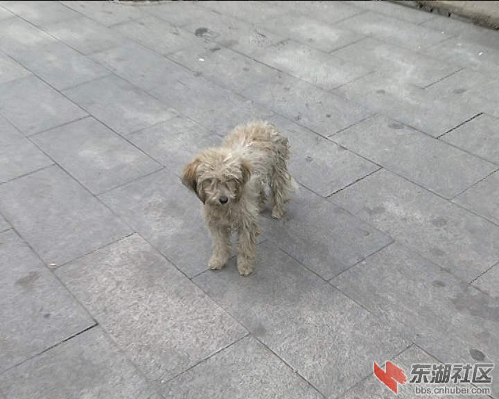 10.18尹家湖试拍[(021534)2018-10-24-09-08-07].JPG