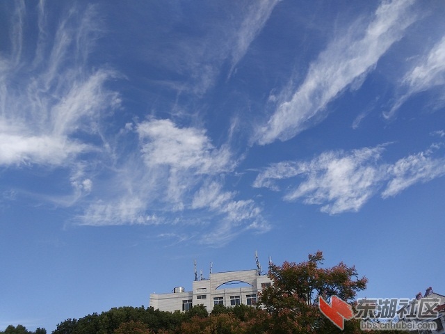 IMG_20181030_091056.jpg