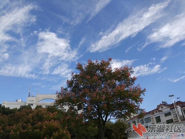 IMG_20181030_091137.jpg