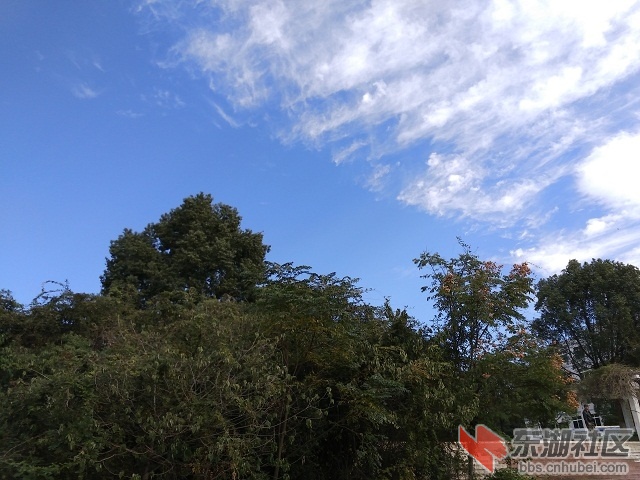 IMG_20181030_091929.jpg