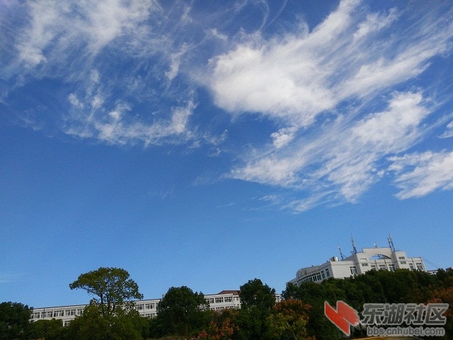 IMG_20181030_153617.jpg