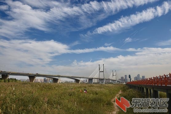 DSC_8584 - 副本.JPG