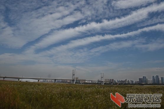 DSC_8620 - 副本.JPG