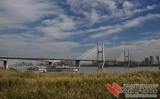 DSC_8592 - 副本.JPG