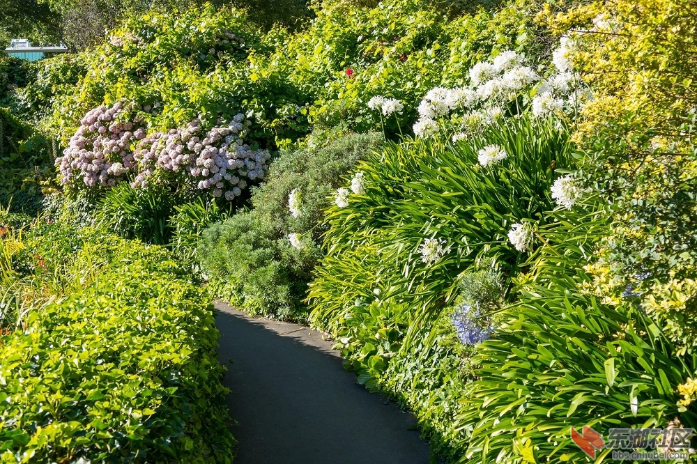 芒特甘比尔 (25).jpg