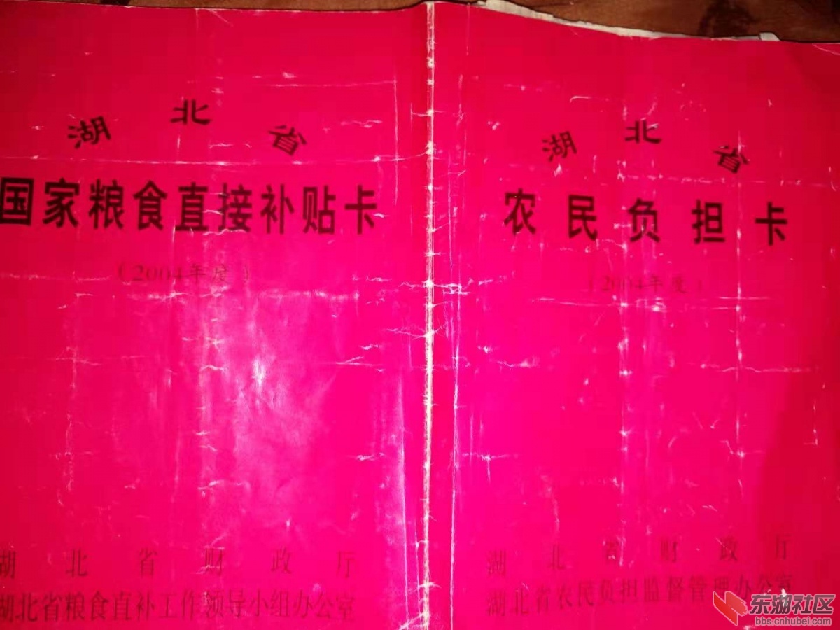 mmexport1541062585748.jpg