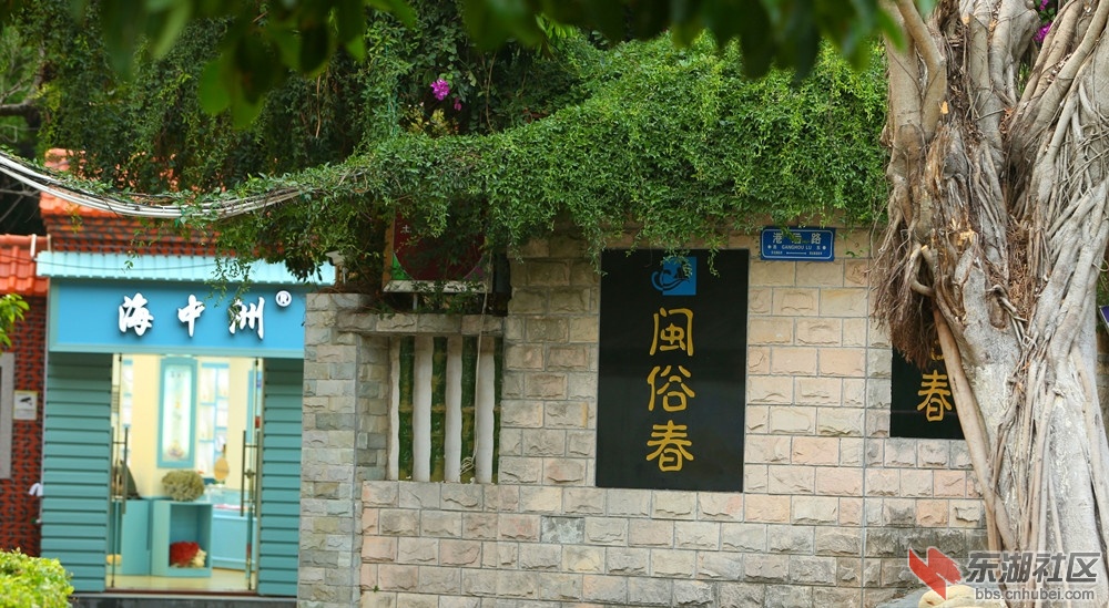 闽俗春.jpg
