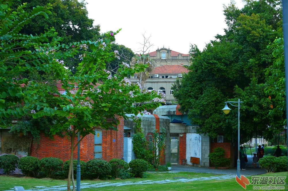 绿树红楼.jpg