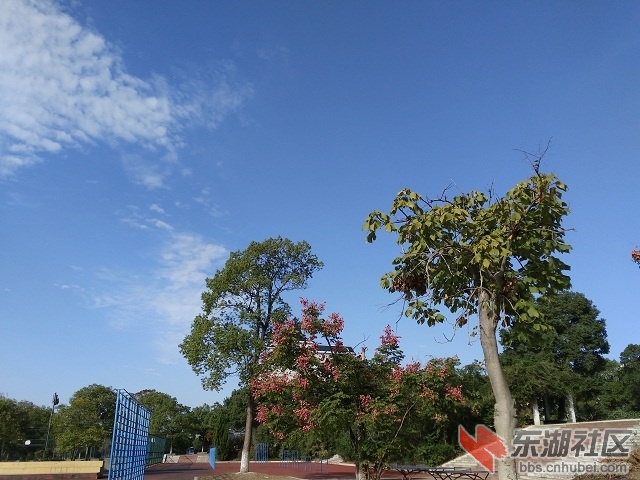 IMG_20181026_091035.jpg