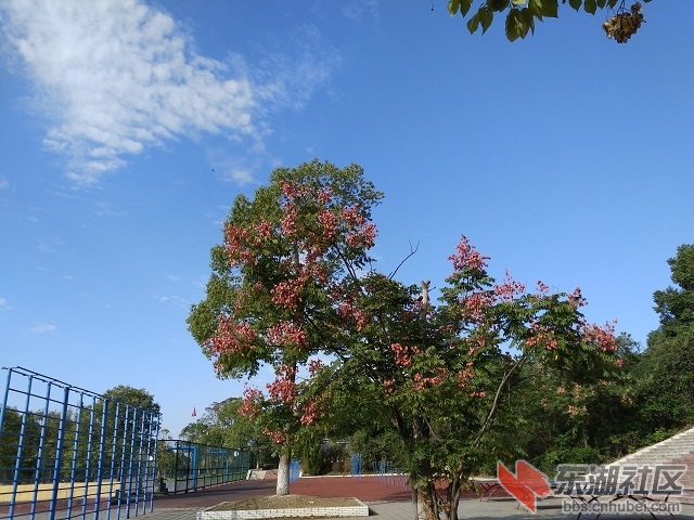 IMG_20181026_091056.jpg