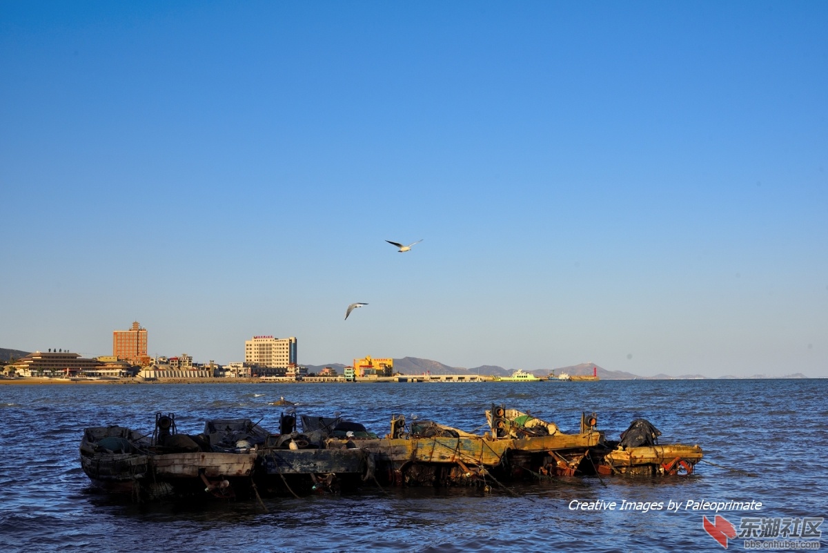 _DSC8692.jpg