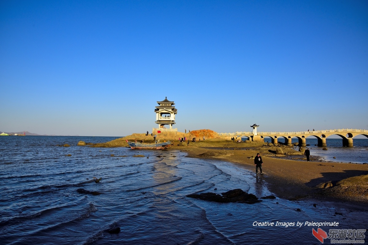_DSC8688.jpg