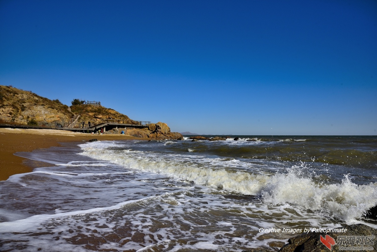 _DSC8461.jpg
