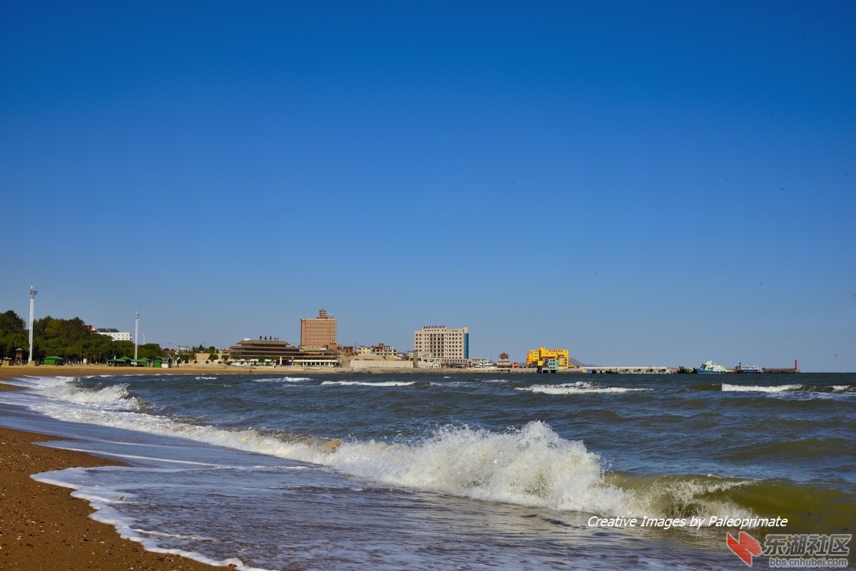 _DSC8542.jpg