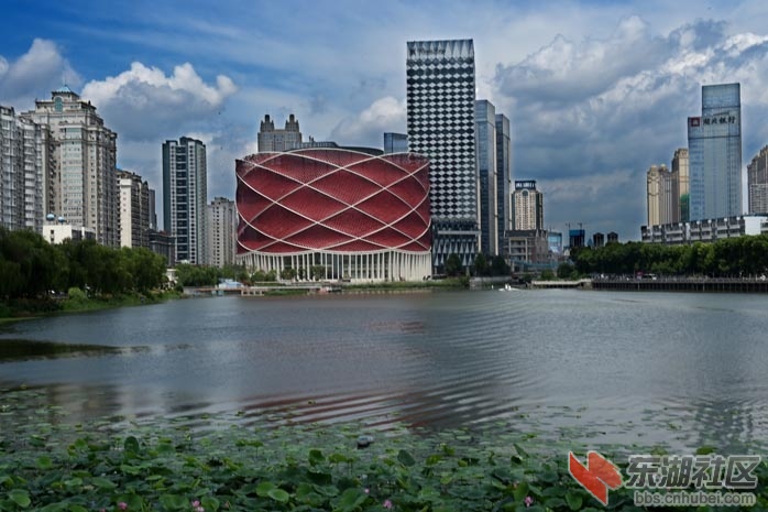 童汉芳摄 楚河汉街2015.6.24.DSC_7077 - 副本.JPG