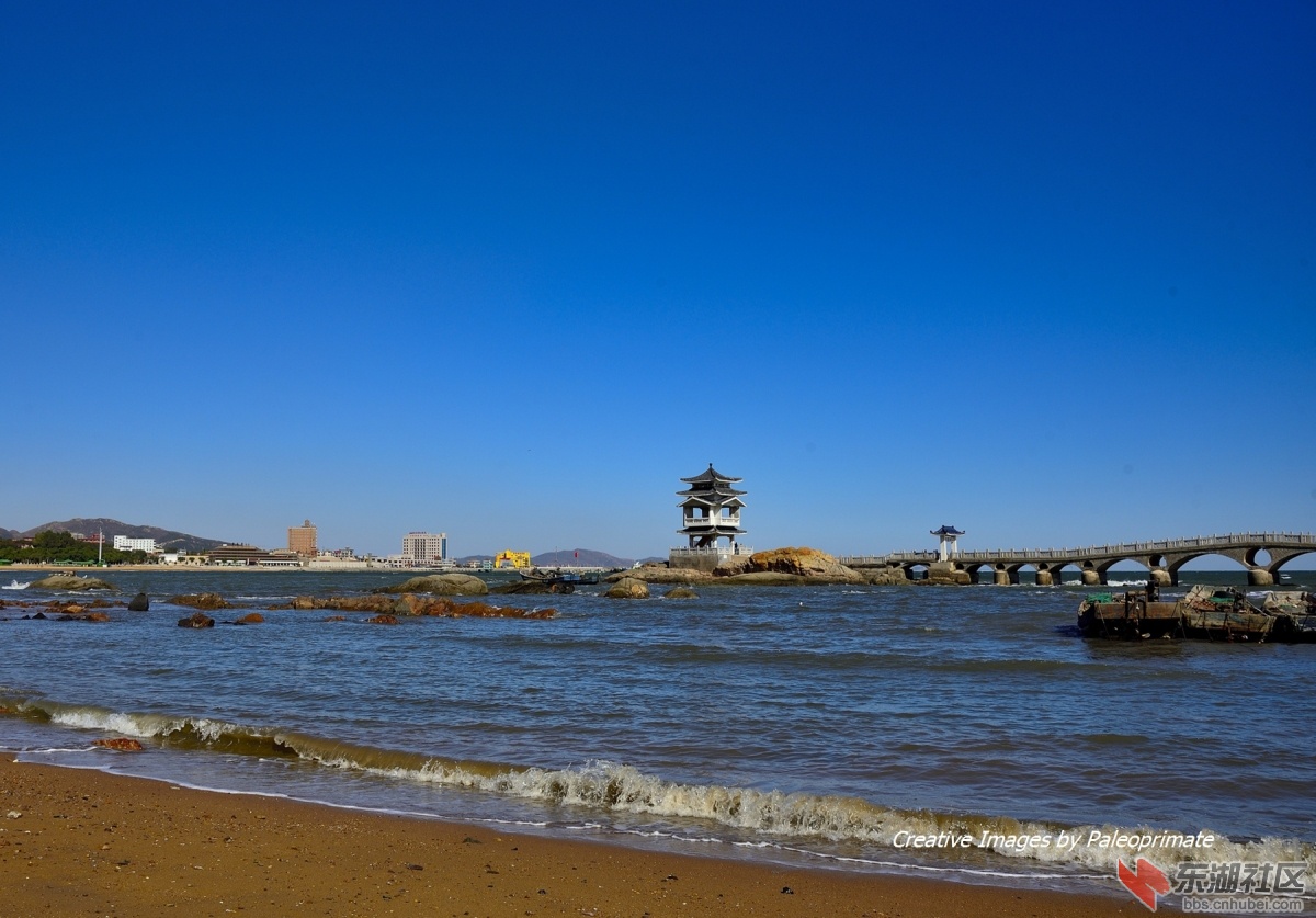 _DSC8488.jpg