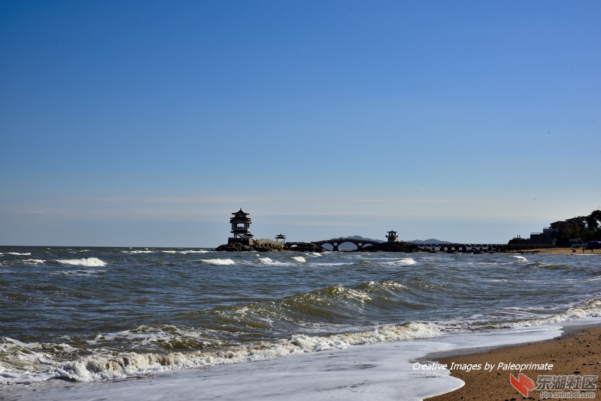 _DSC8553.jpg