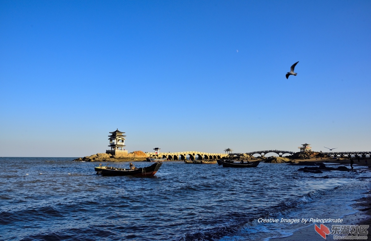 _DSC8672.jpg