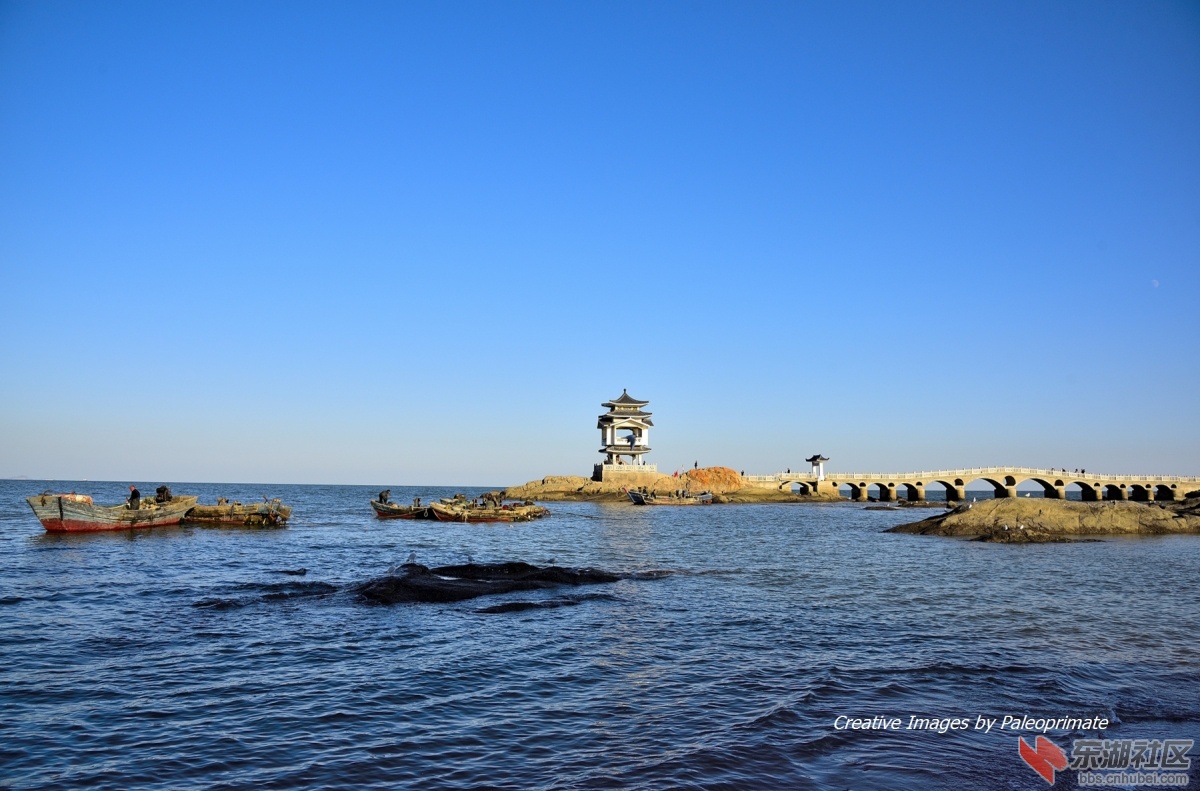 _DSC8799.jpg