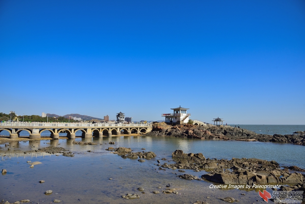 _DSC8796.jpg