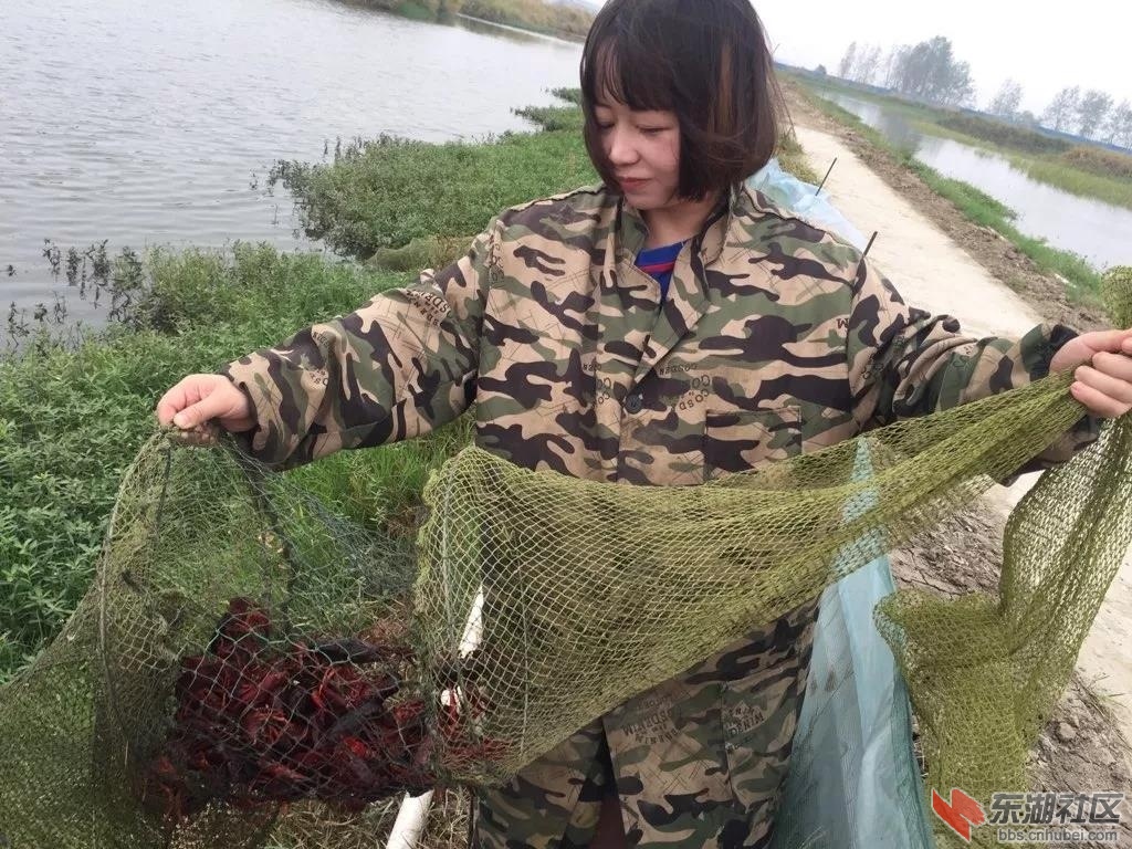 拿着渔网正在稻田里收龙虾的李尔冬.jpg