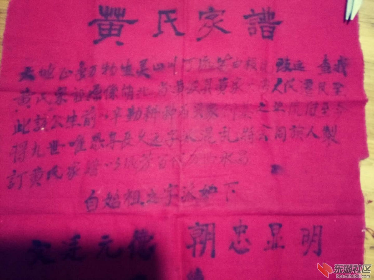 族谱2.jpg