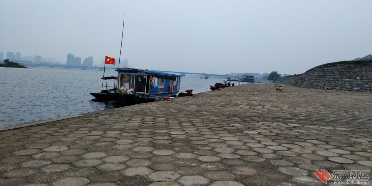qq图片20181120000516.jpg