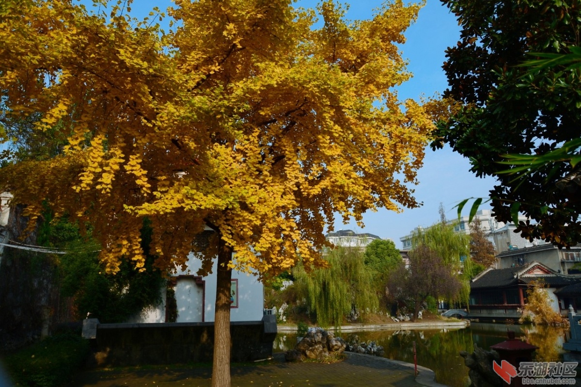 DSC_1253.jpg