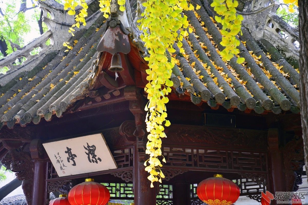 DSC_1304.jpg