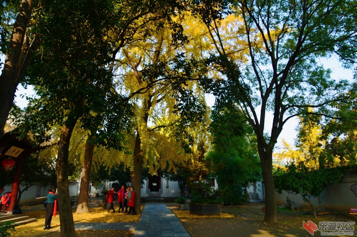 DSC_1248.jpg