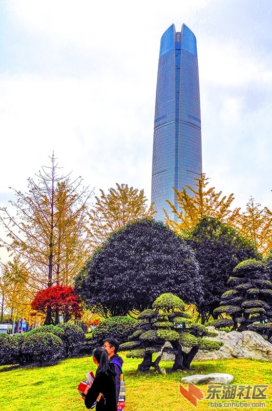 2    DSCN0779_副本-恢复的.jpg
