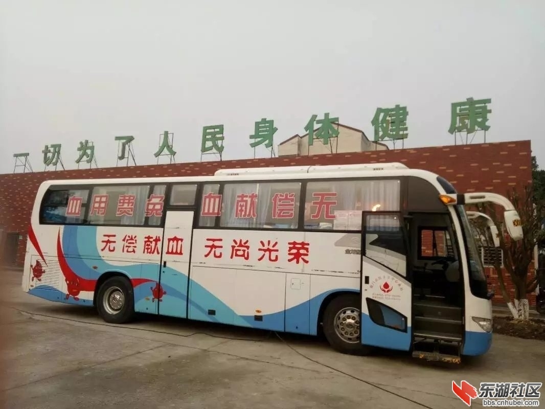 212831m3c59ylspphlsclh.jpg