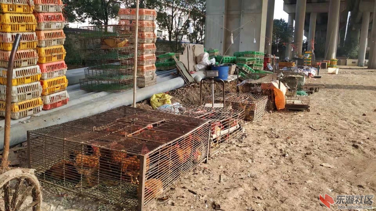 南李路三环线外2.jpg