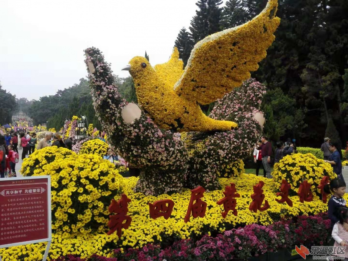 共享和平，共建繁荣.jpg