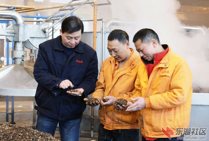 伍远超（左）查看粮醅发酵情况.jpg