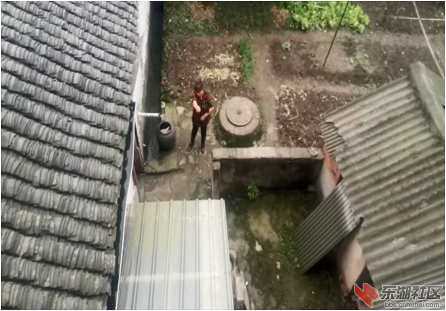 索河街龙霓山村前村委会成员肖碧华抖狠照片