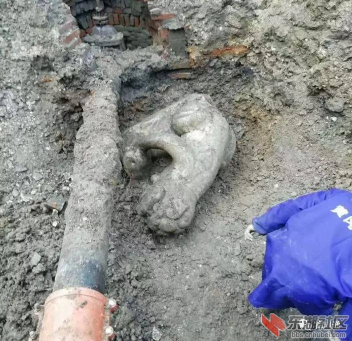 古城梅川惊喜了，东门头施工中发现千年石狮
